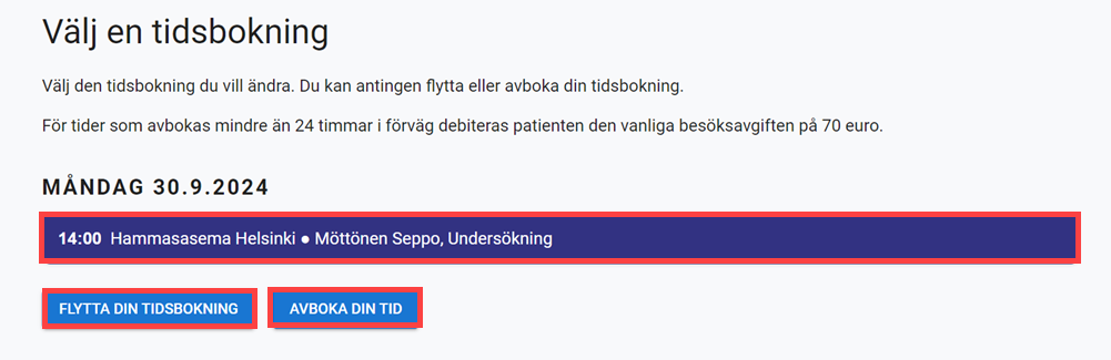 nettiav51.png