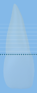 paro2.png