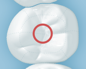 Kuva8.png