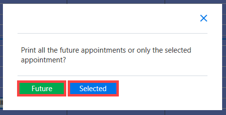 print_future_appointments.png