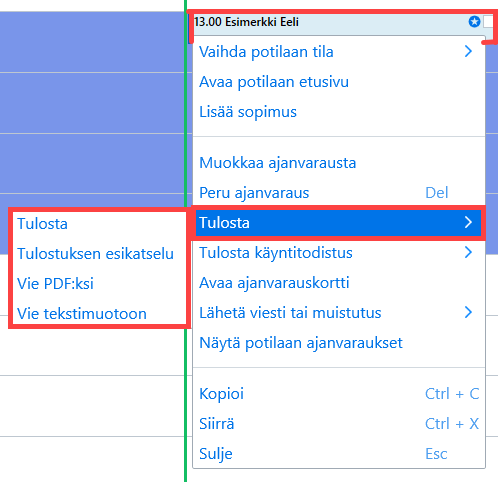 ajanvaraus_tulostus1.png