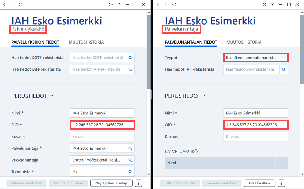 palvelun_antaja_ja_-yksikk_6.png