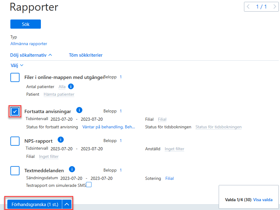 rapporter 2.png
